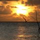 64- Coucher de soleil sur Apataki 